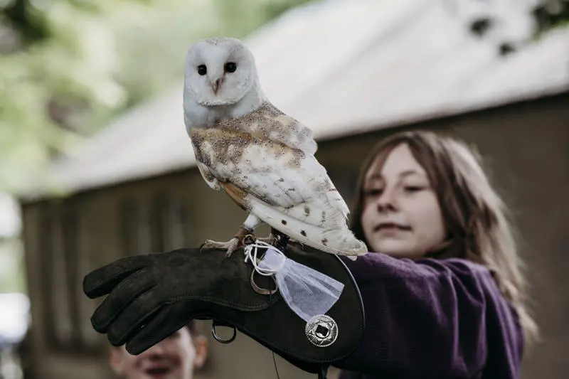 Mobirise Website Builder